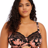 Elomi Morgan Printed Stretch Banded Bra Current Colours