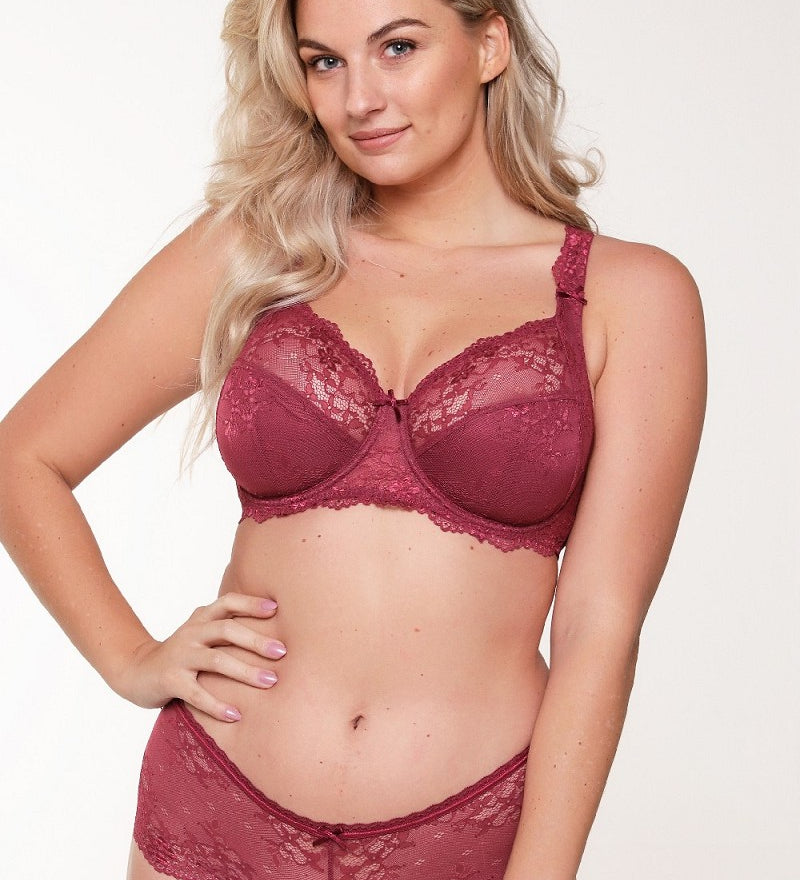 Lingadore Daily Lace Full Cup Bra - 2023 Fashion Colours  French Vanilla, Illusion Blue & Tawny Port