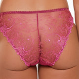 Lingadore Brief in Raspberry