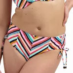 Cyell Chevron Chic High Bikini Brief